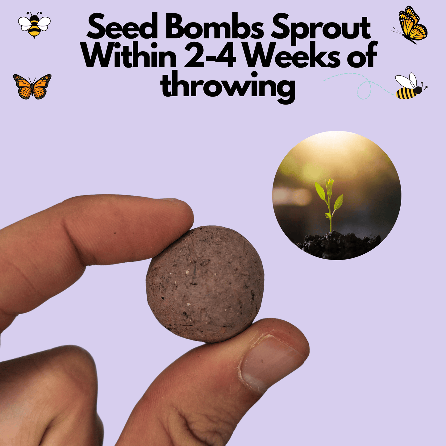 For The Bees SeedBombs