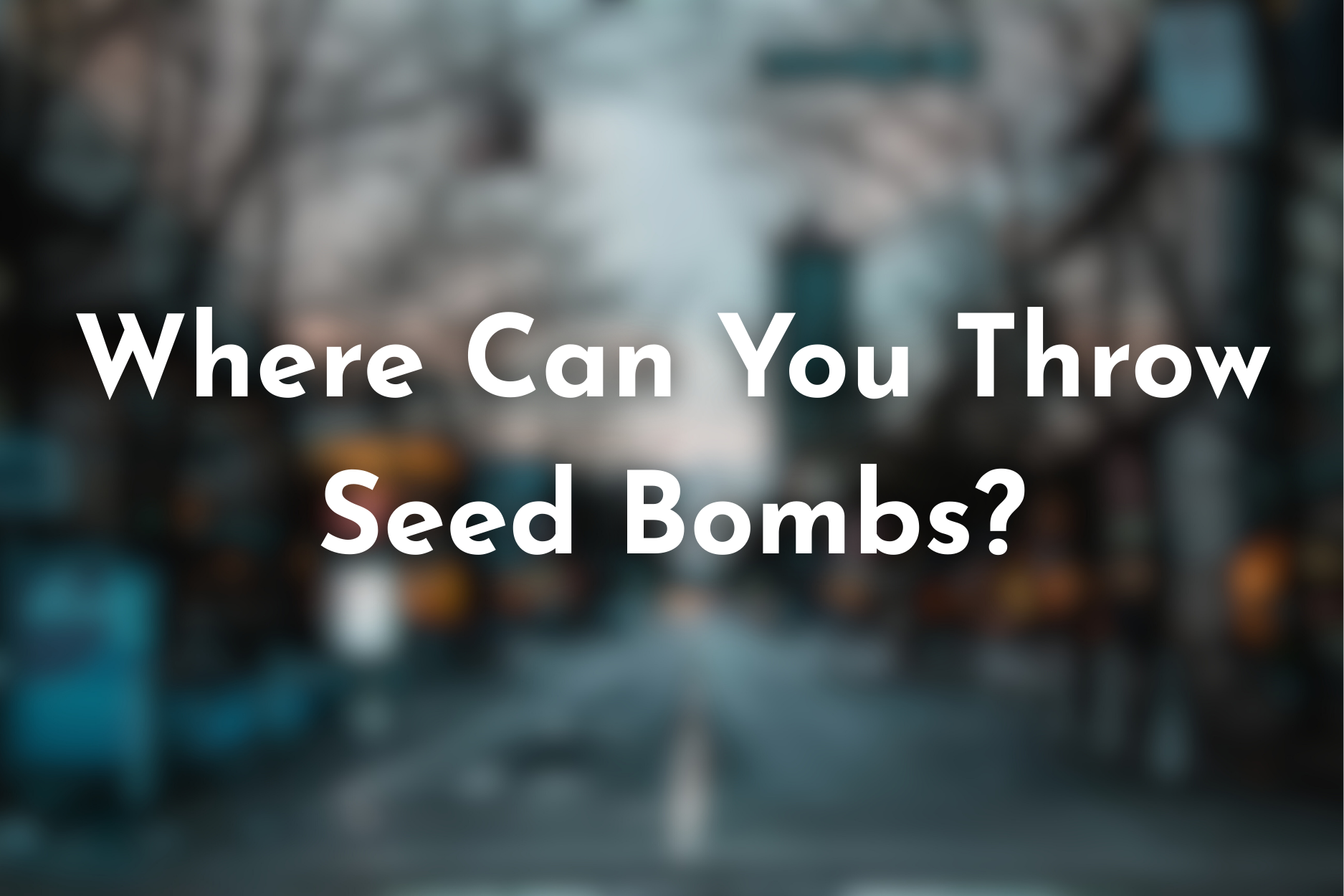 Where Can You Throw Seed Bombs?
