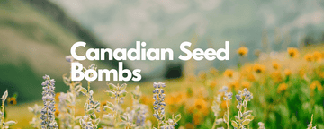 Canadian Seed Bombs