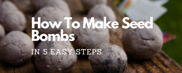 How to Make Seed Bombs In 5 Easy Steps
