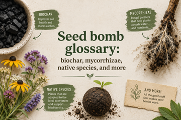 The Science Behind Seed Bombs: Every Ingredient in Our Formula Explained