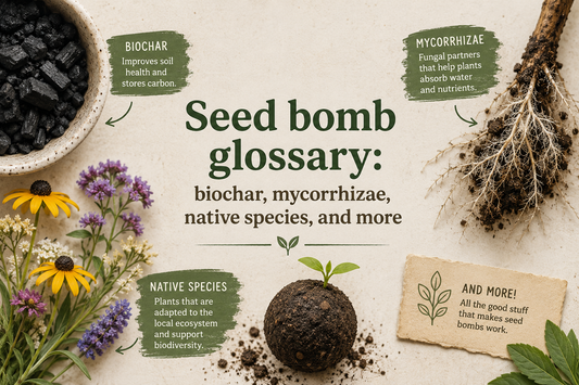 The Science Behind Seed Bombs: Every Ingredient in Our Formula Explained