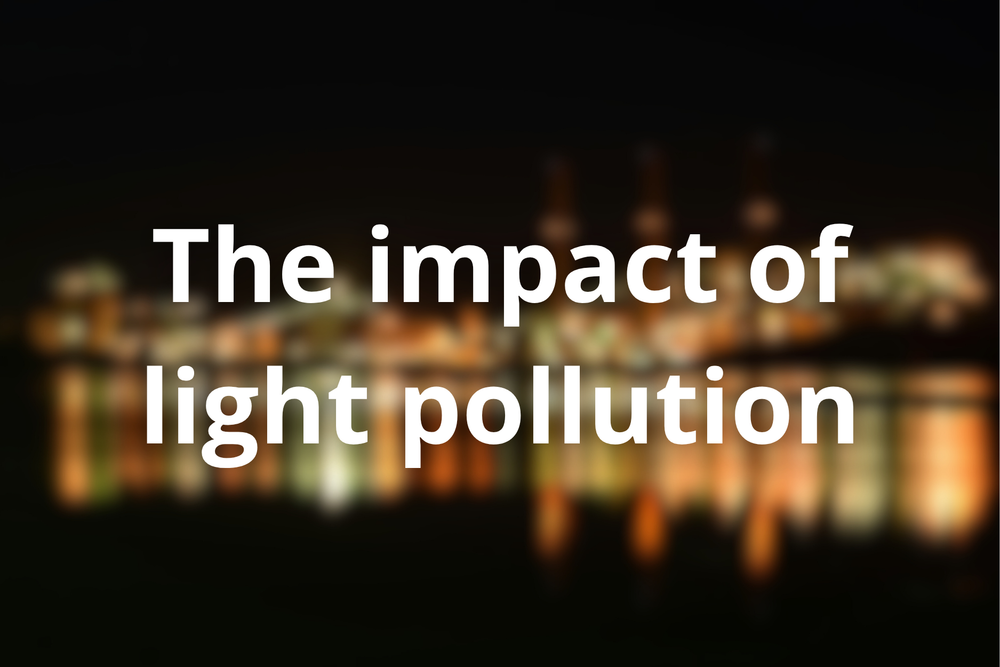 The impact of light pollution
