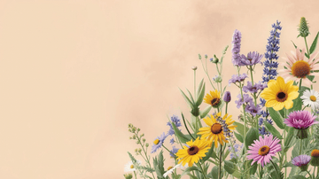 How To Plant Seed Paper