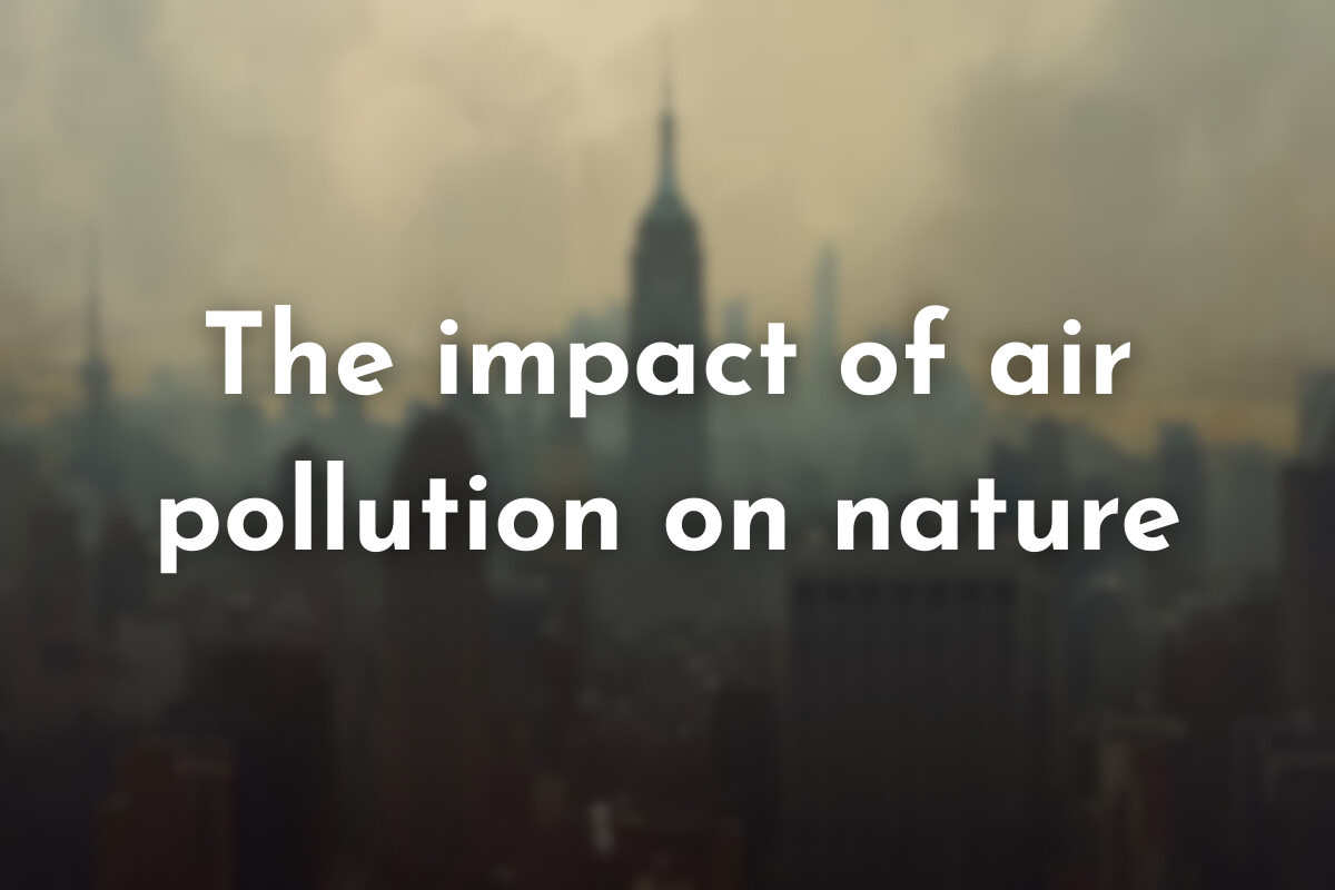 What is the impact of air pollution on flowers and pollinators?