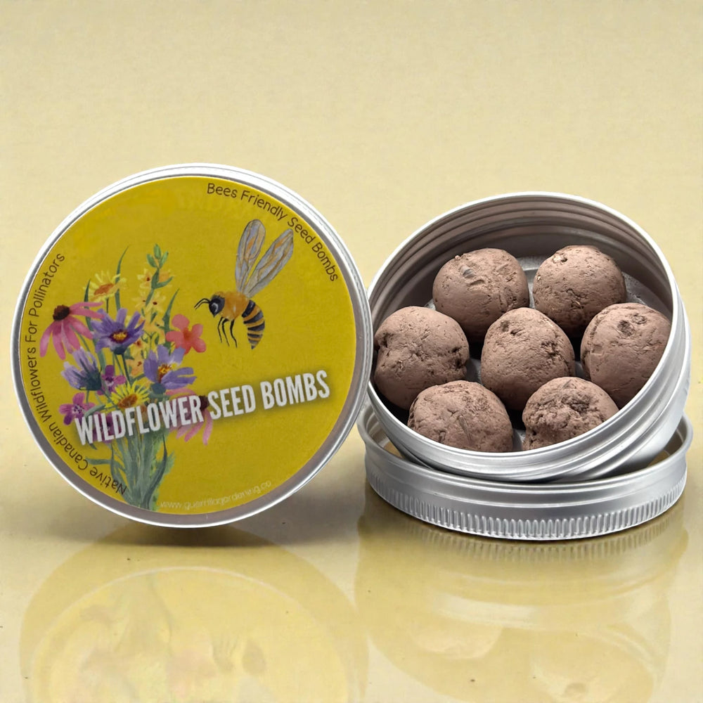 
                  
                    Tiny Bees Seed Bombs
                  
                