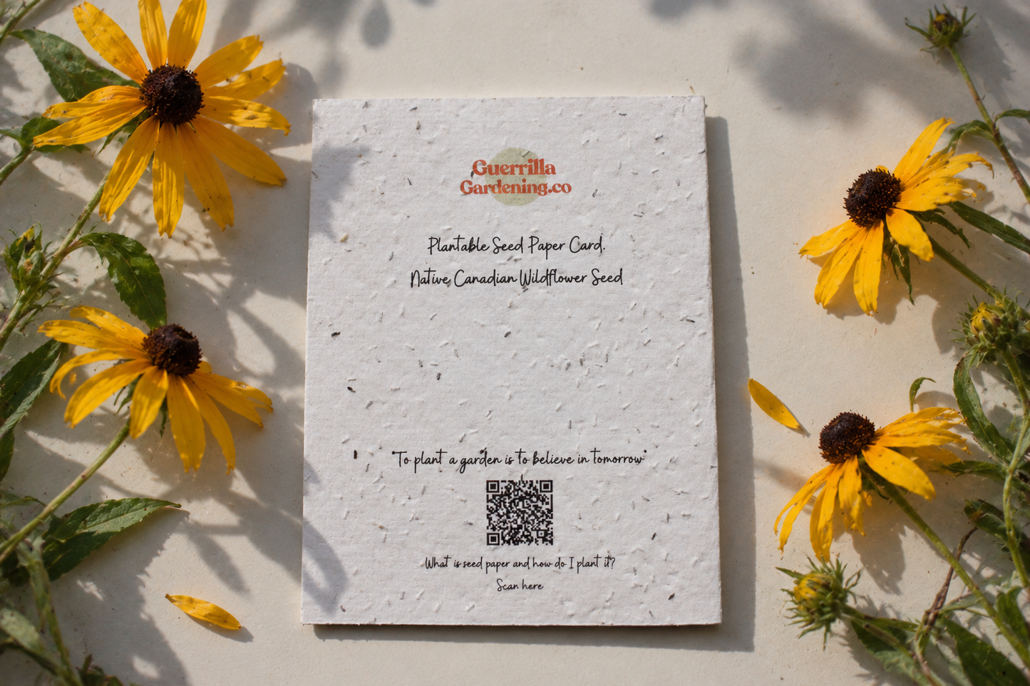 
                  
                    Plantable Happy Birthday Card
                  
                